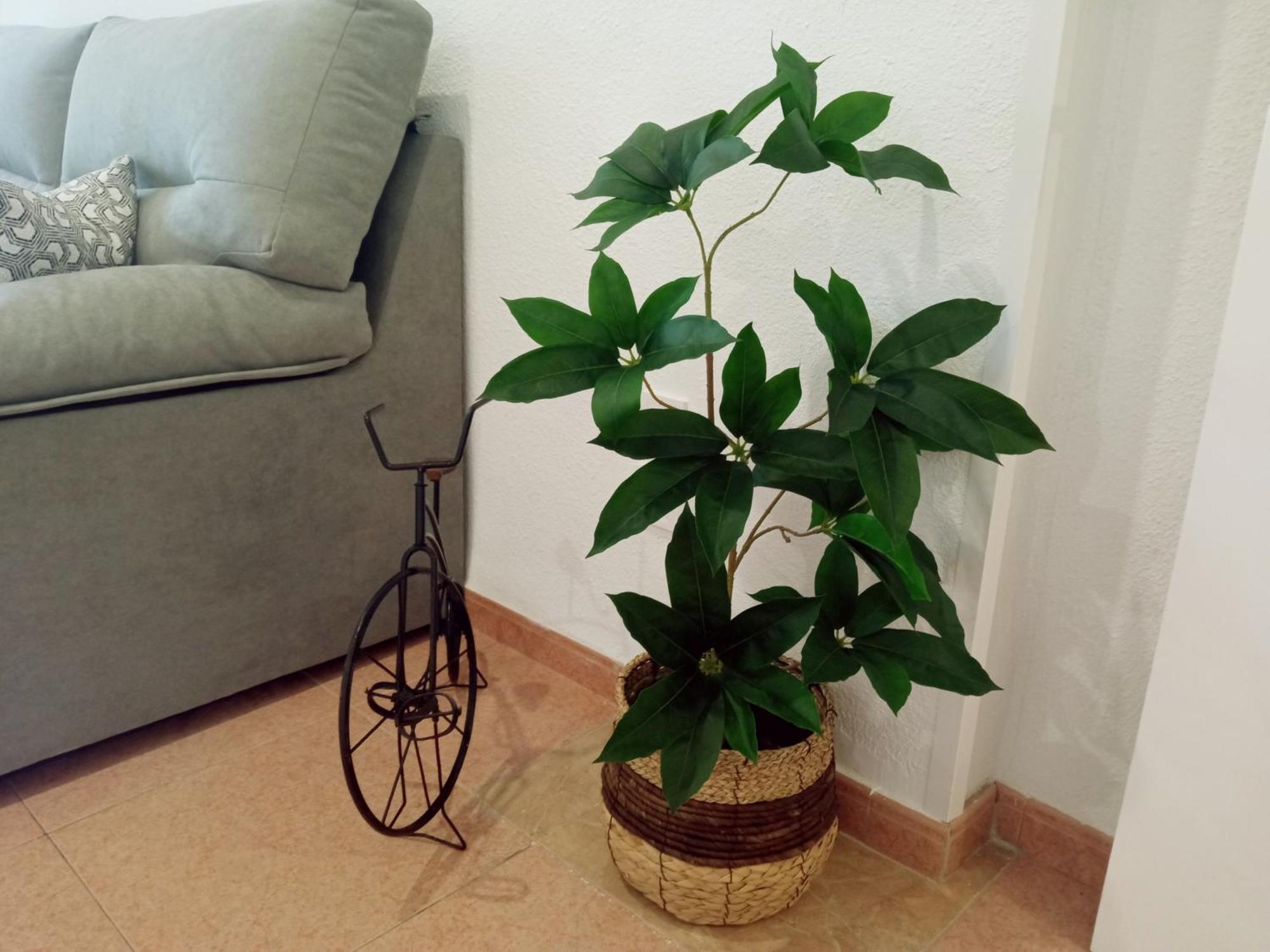 Apartamento Los Jardines De La Magdalena Córdoba Eksteriør bilde